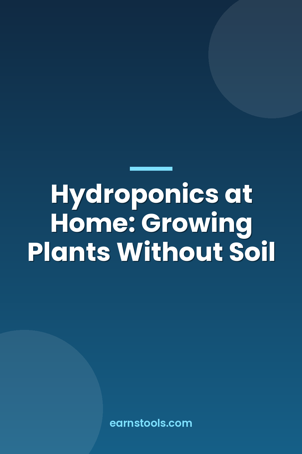 Hydroponics at Home: Growing Plants Without Soil