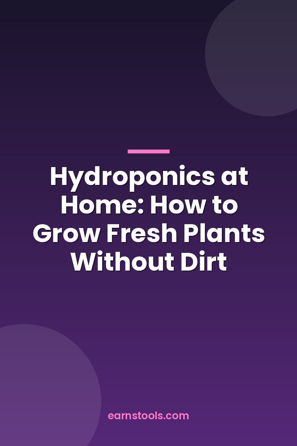 Hydroponics at Home: How to Grow Fresh Plants Without Dirt