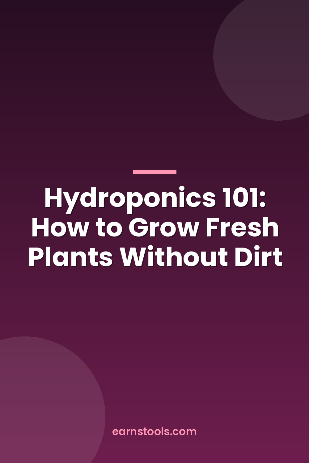 Hydroponics 101: How to Grow Fresh Plants Without Dirt