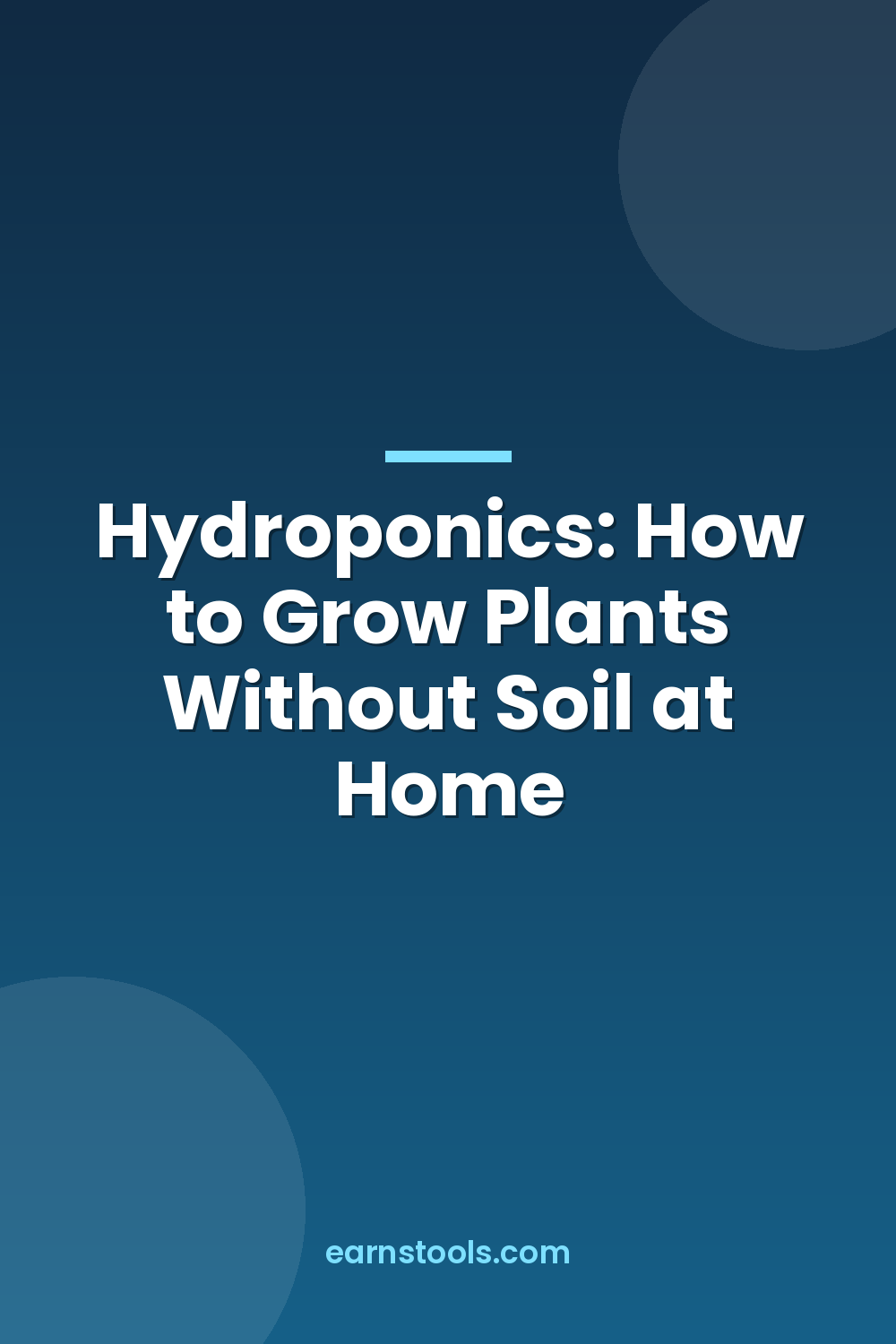 Hydroponics: How to Grow Plants Without Soil at Home
