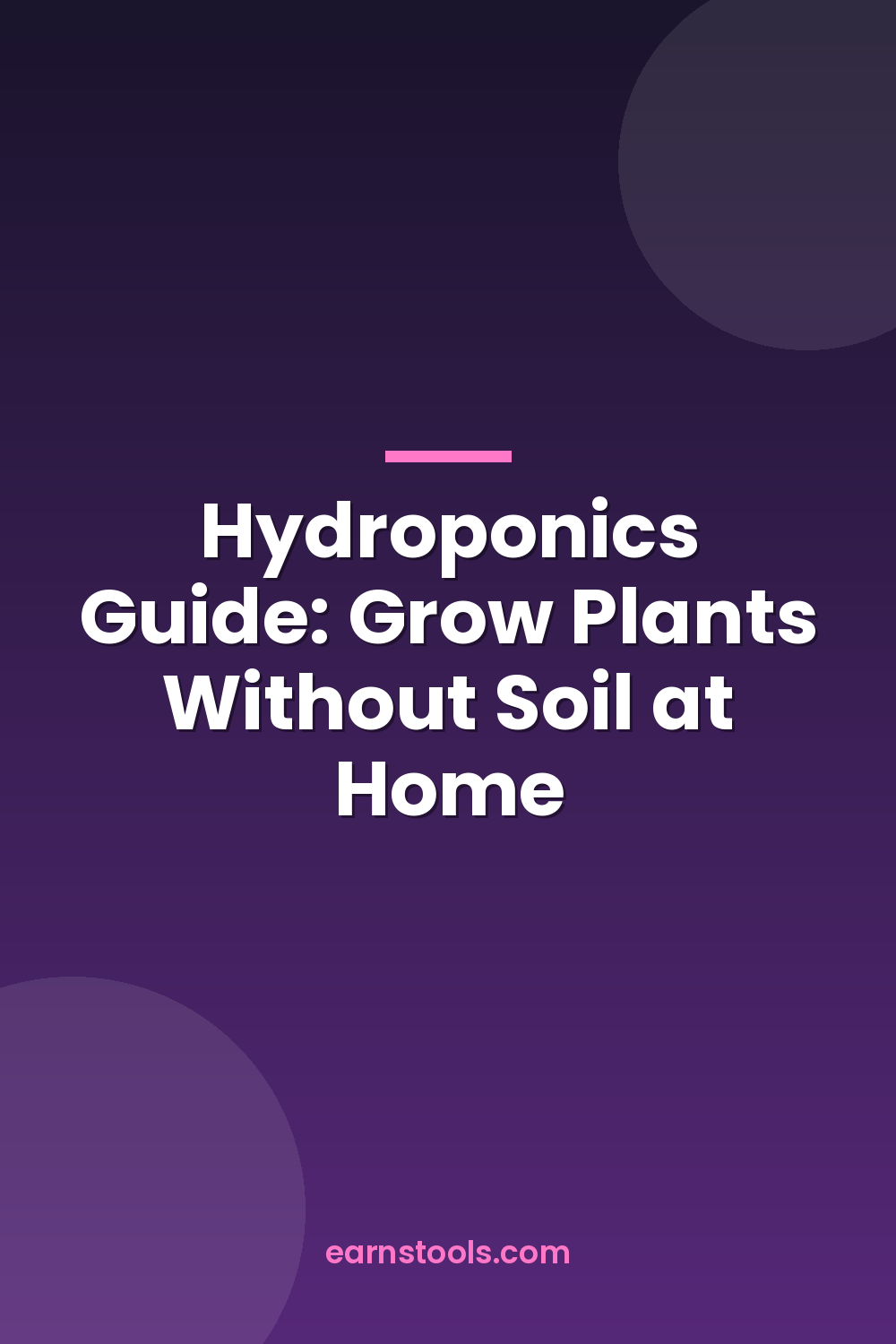 Hydroponics Guide: Grow Plants Without Soil at Home