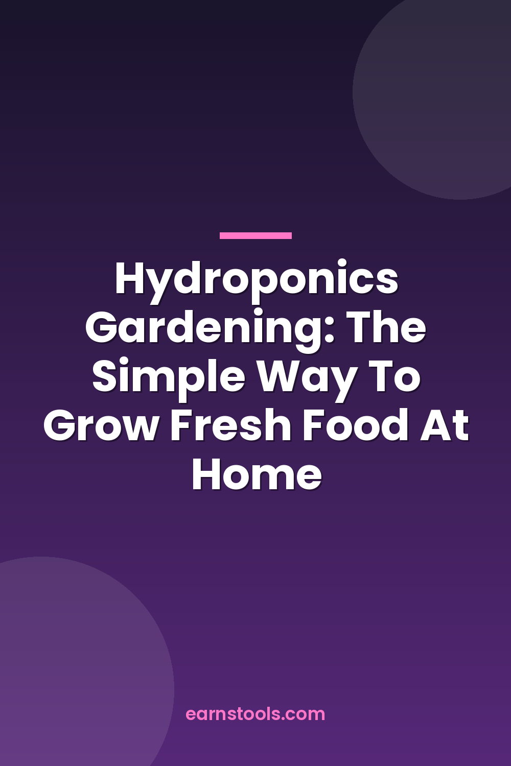 Hydroponics Gardening: The Simple Way To Grow Fresh Food At Home