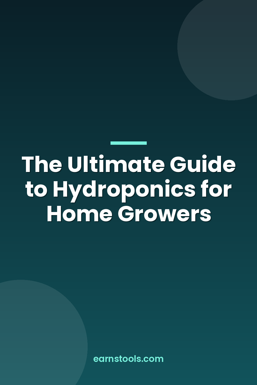 The Ultimate Guide to Hydroponics for Home Growers