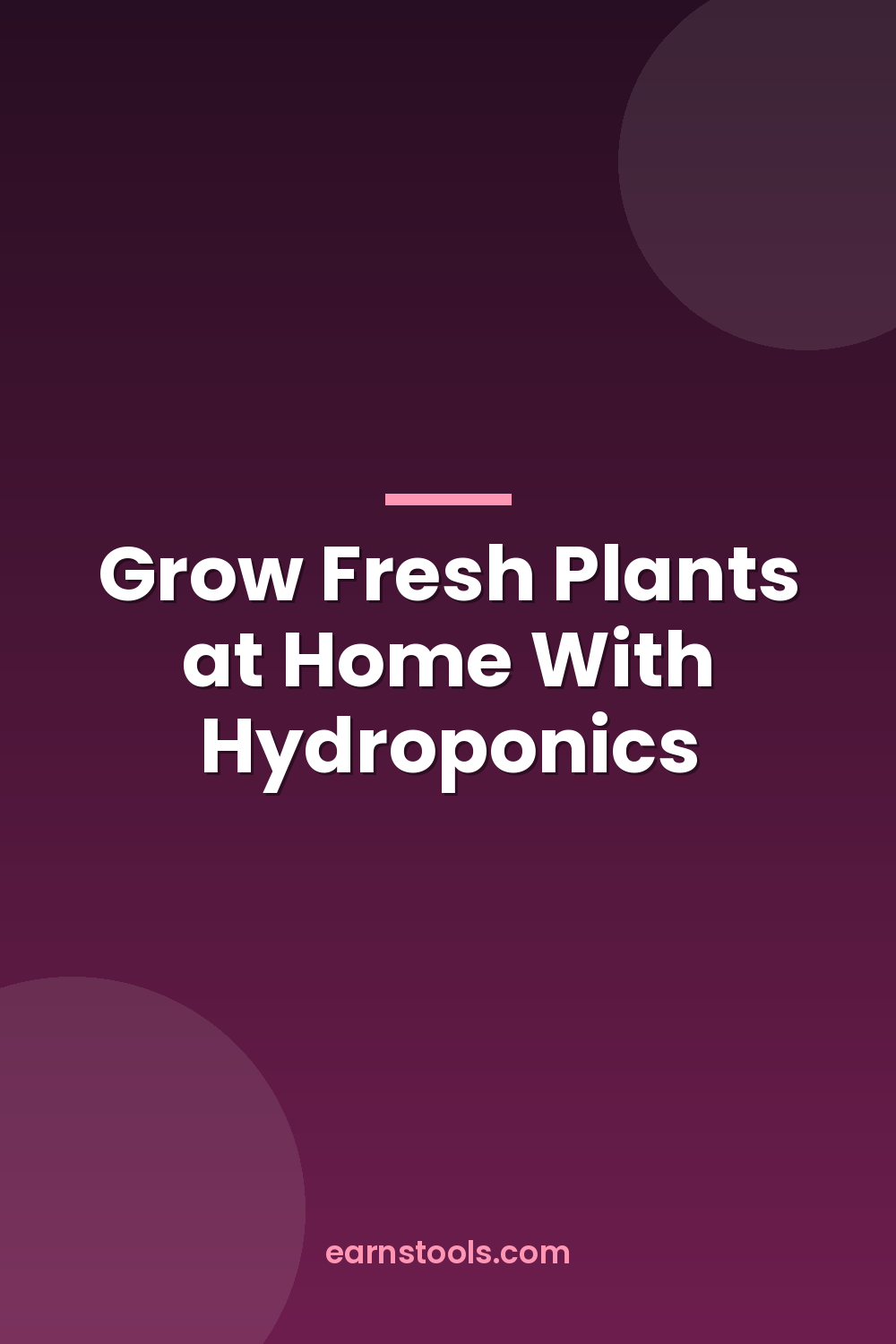 Grow Fresh Plants at Home With Hydroponics