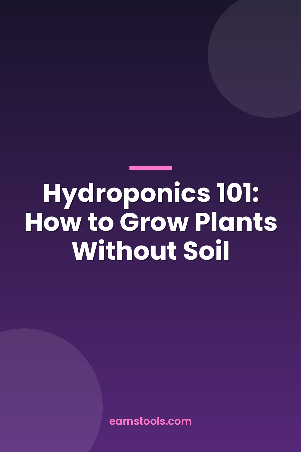 Hydroponics 101: How to Grow Plants Without Soil