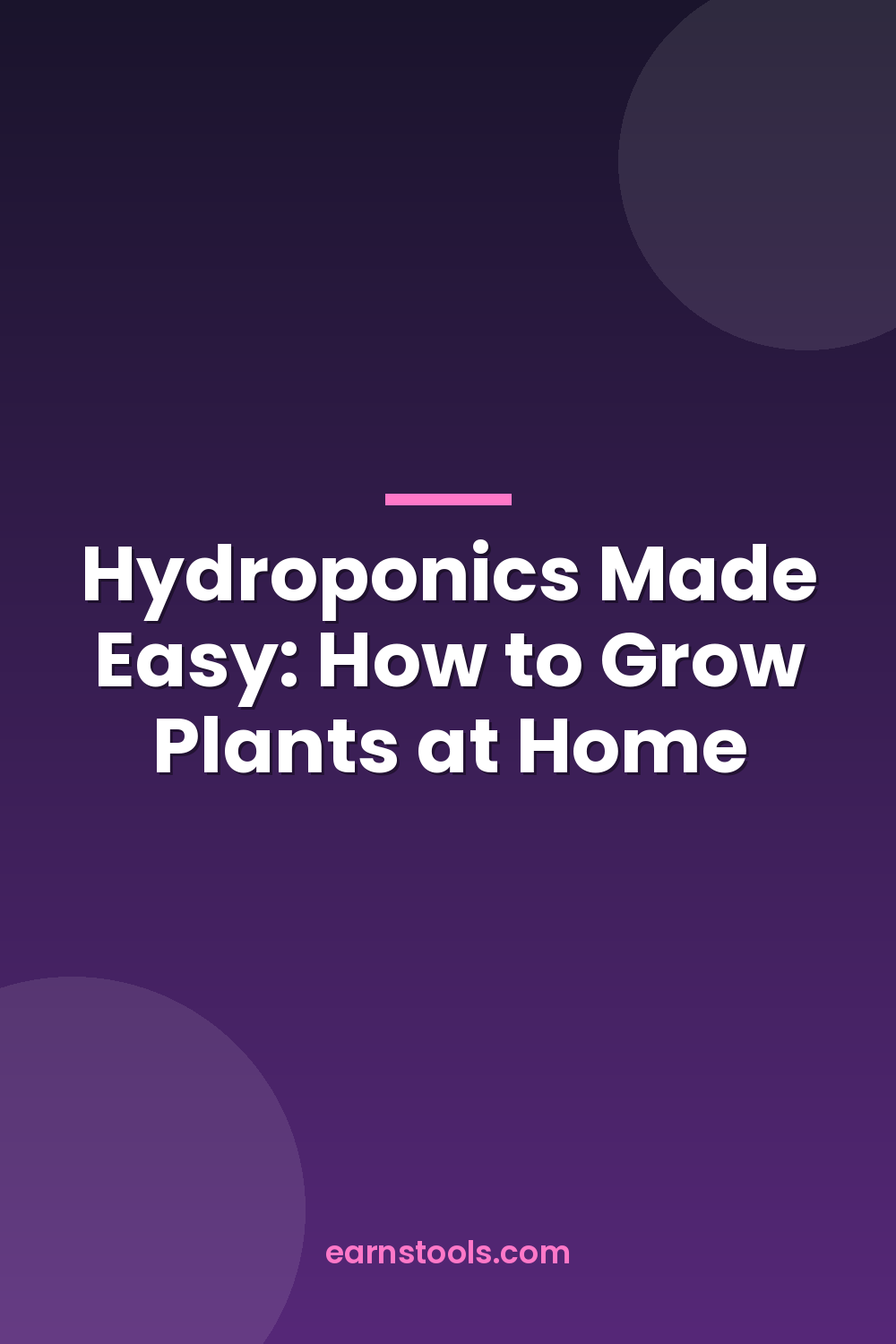 Hydroponics Made Easy: How to Grow Plants at Home