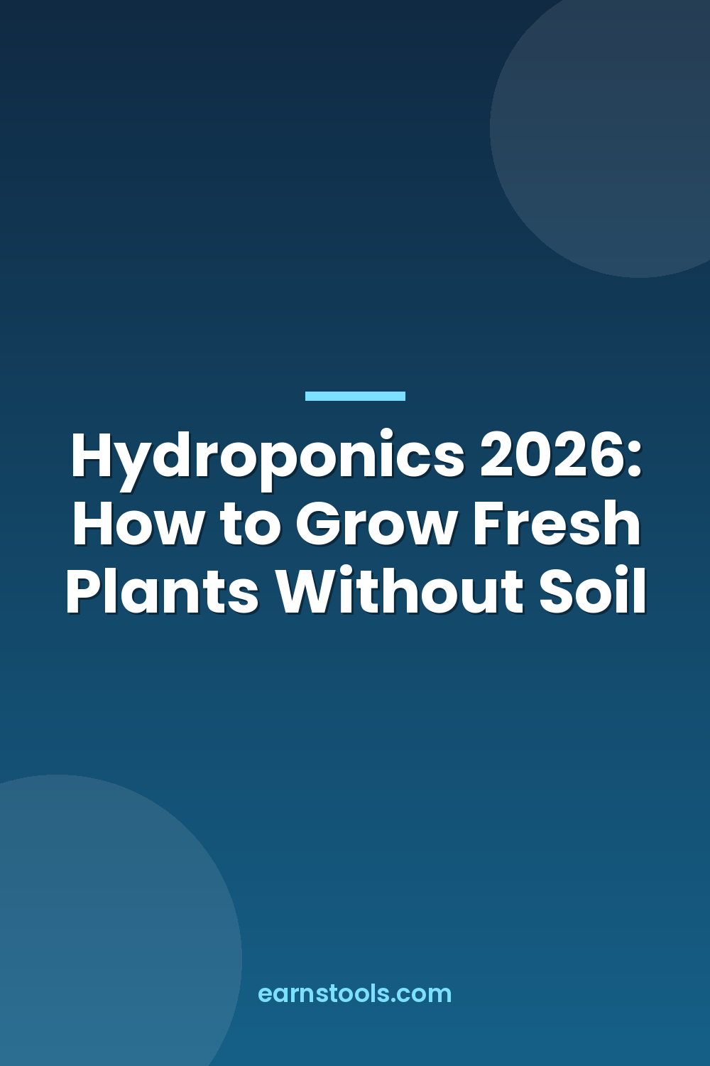 Hydroponics 2026: How to Grow Fresh Plants Without Soil