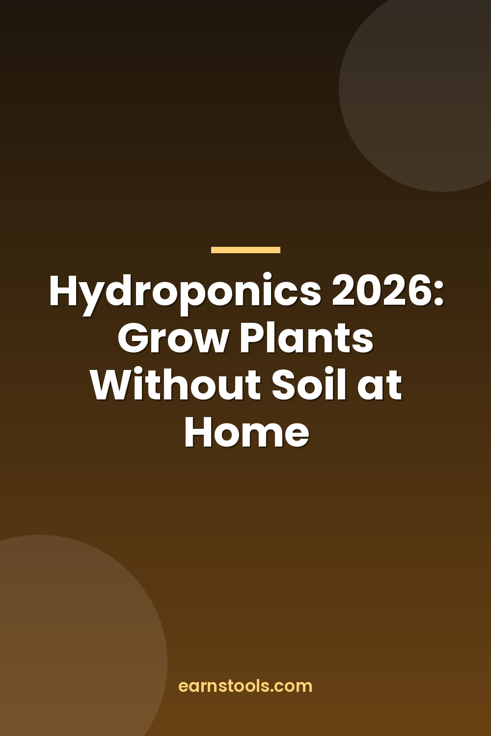 Hydroponics 2026: Grow Plants Without Soil at Home