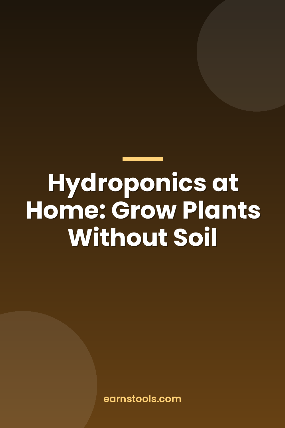 Hydroponics at Home: Grow Plants Without Soil