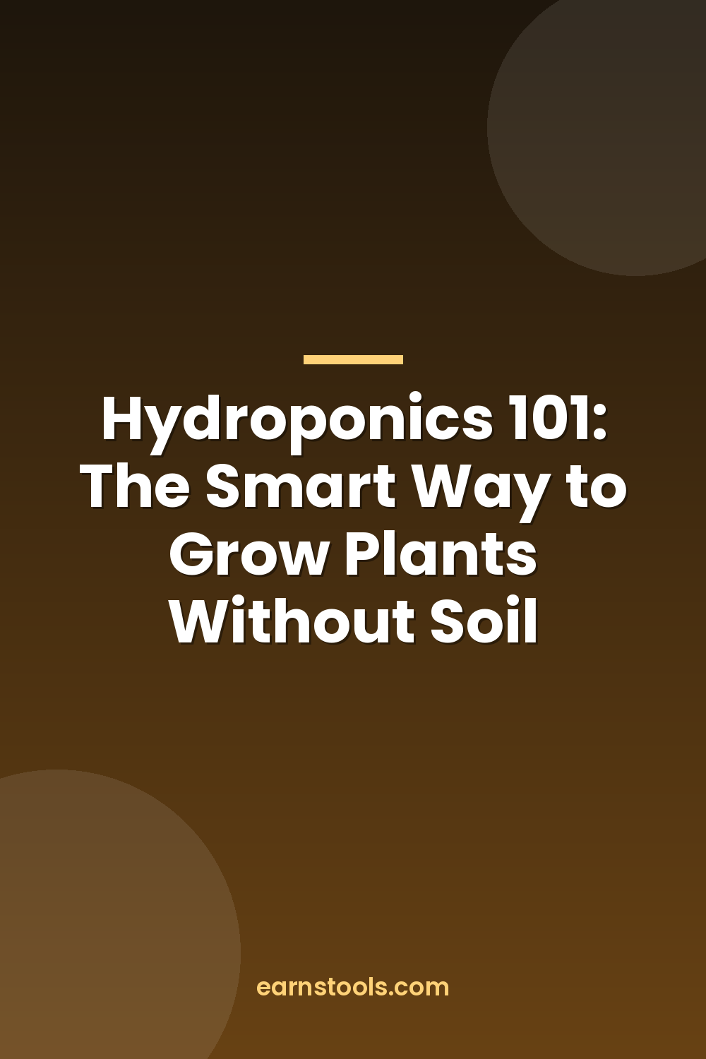 Hydroponics 101: The Smart Way to Grow Plants Without Soil