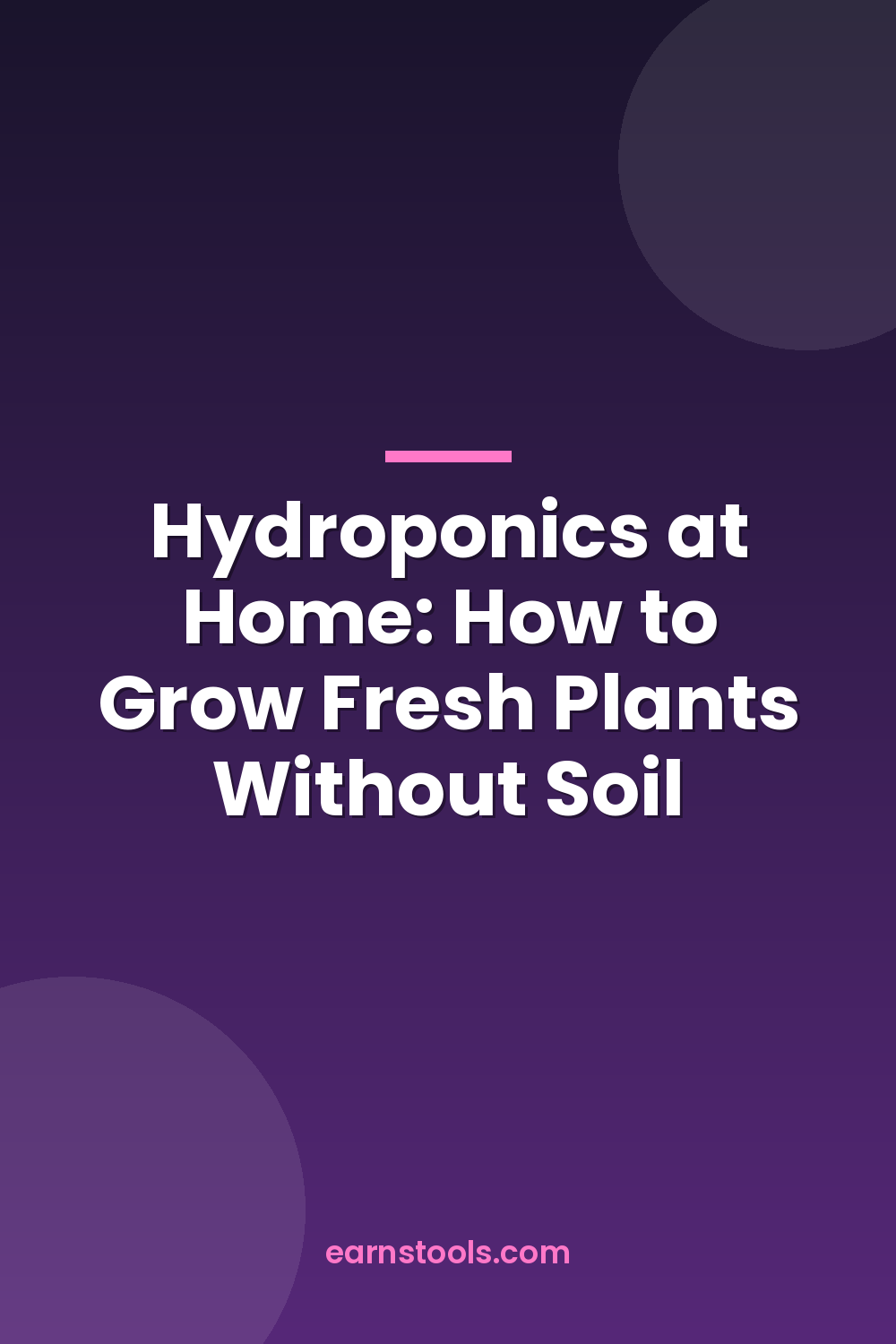 Hydroponics at Home: How to Grow Fresh Plants Without Soil