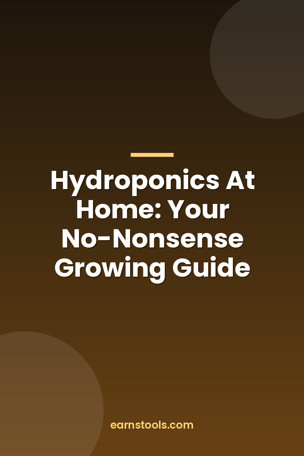 Hydroponics At Home: Your No-Nonsense Growing Guide