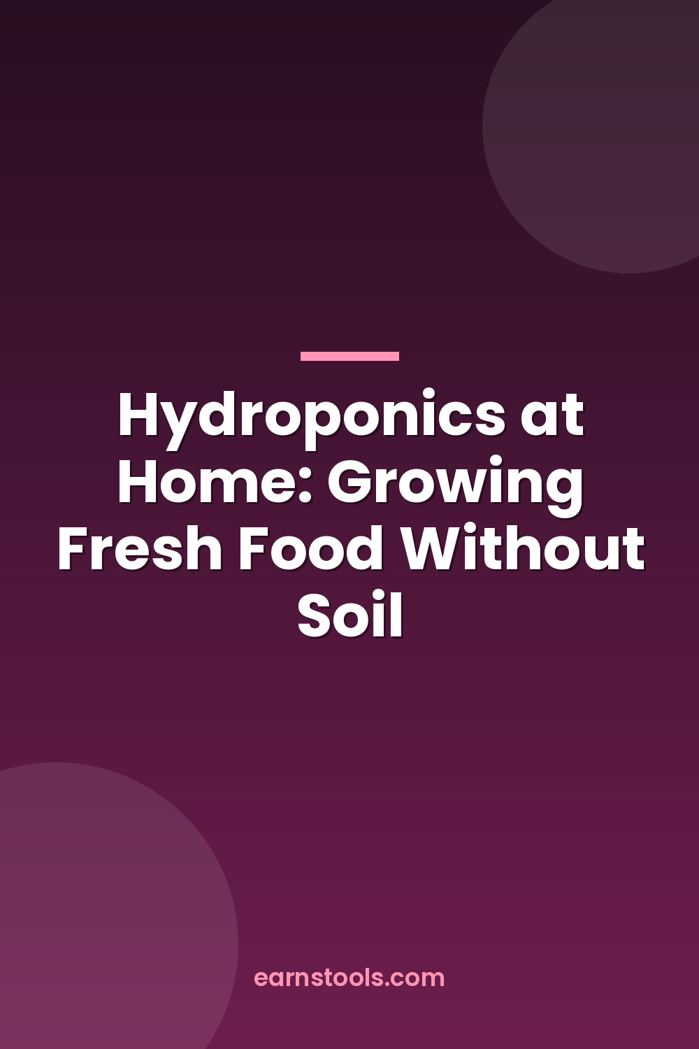Hydroponics at Home: Growing Fresh Food Without Soil